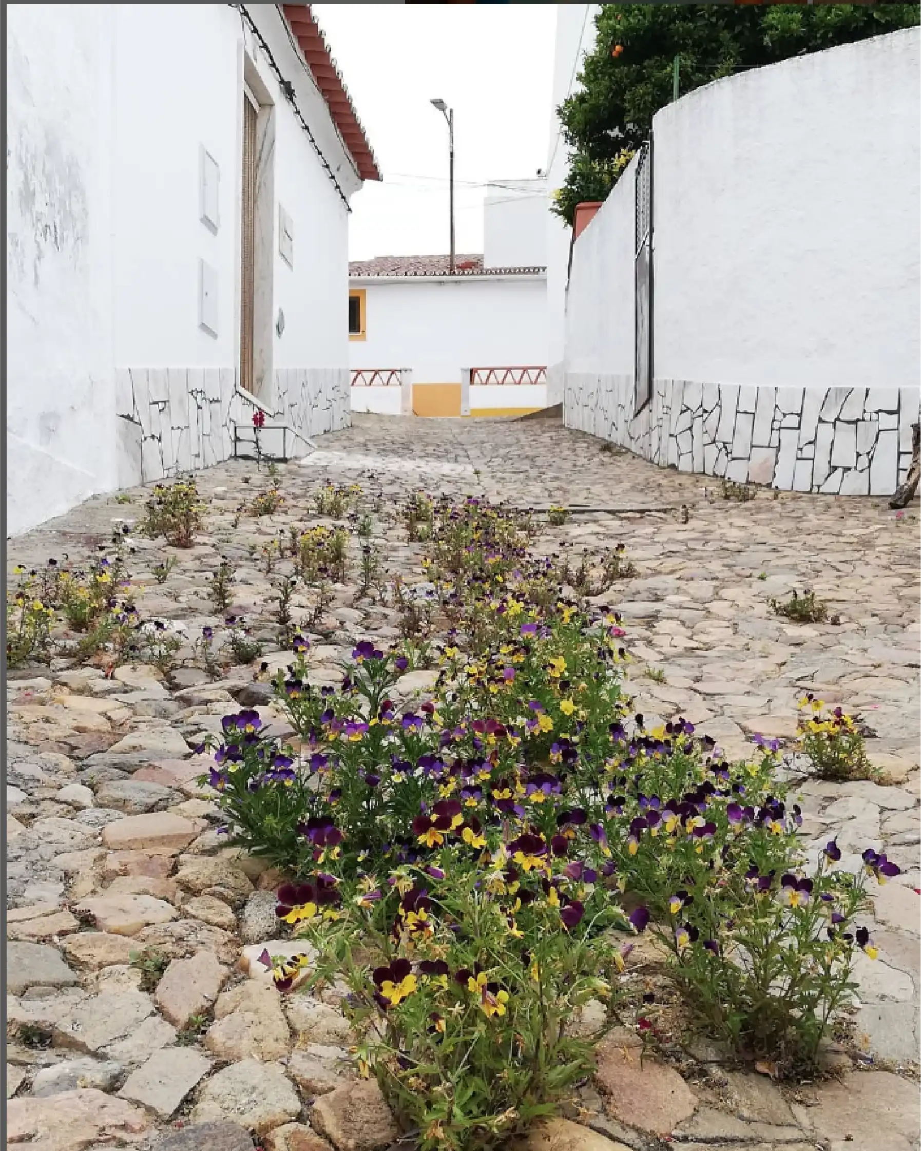 Junta de Freguesia de Évora Monte