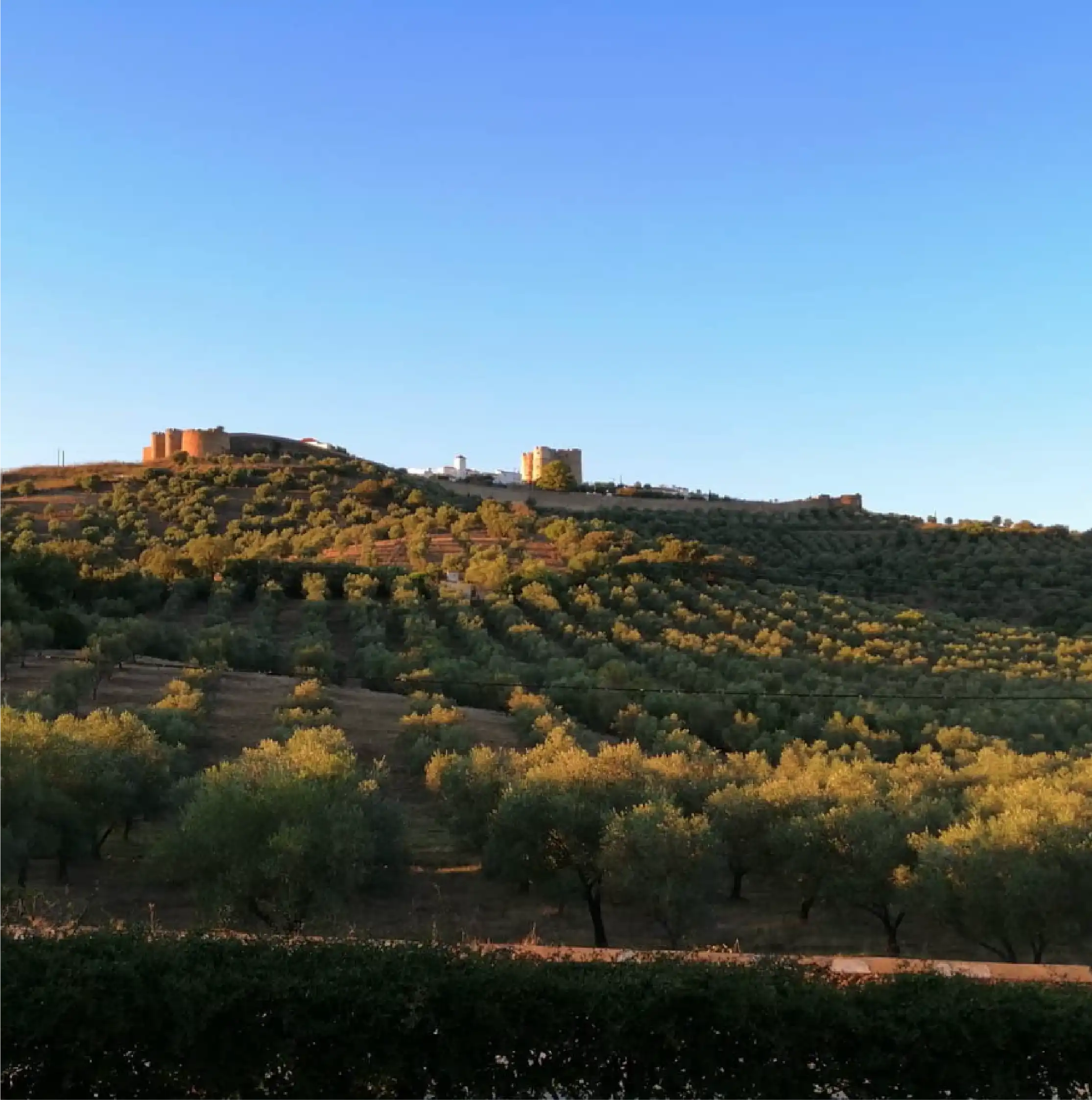 Junta de Freguesia de Évora Monte